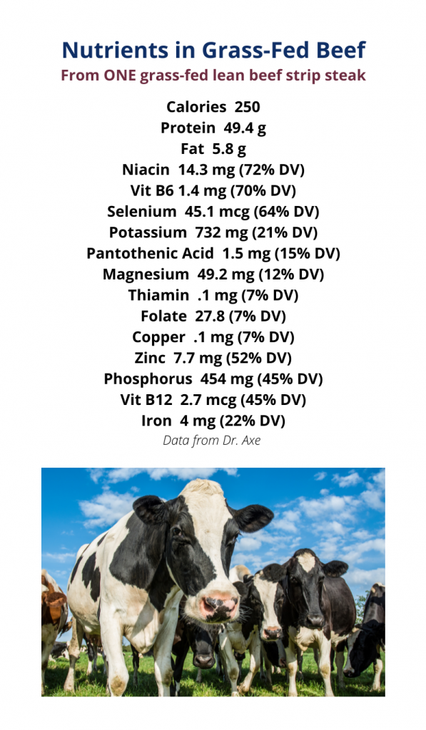 Grass-Fed Beef Nutrients