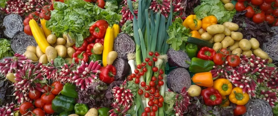 A close up of many different vegetables