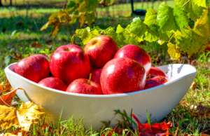 A bowl of apples in the grass