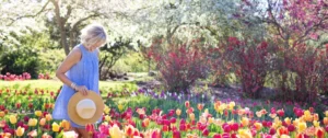 A woman standing in the middle of a flower garden.