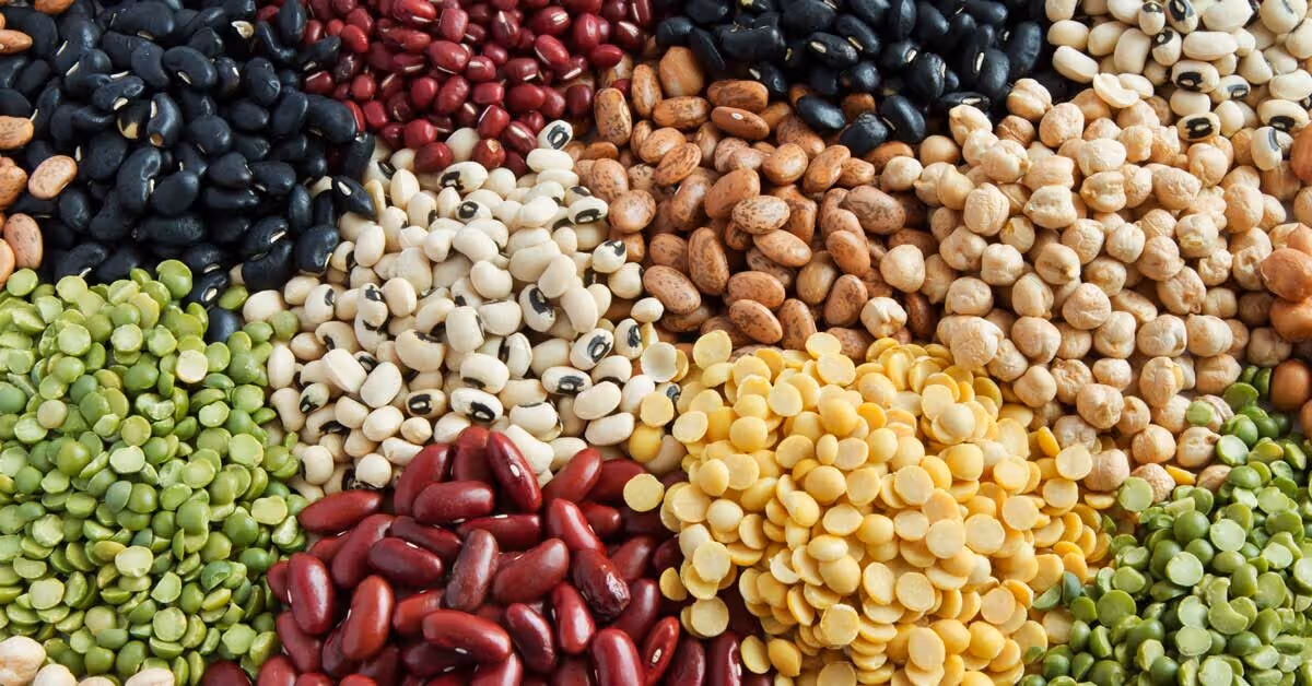 fiber-weight-loss fiber-weight-loss